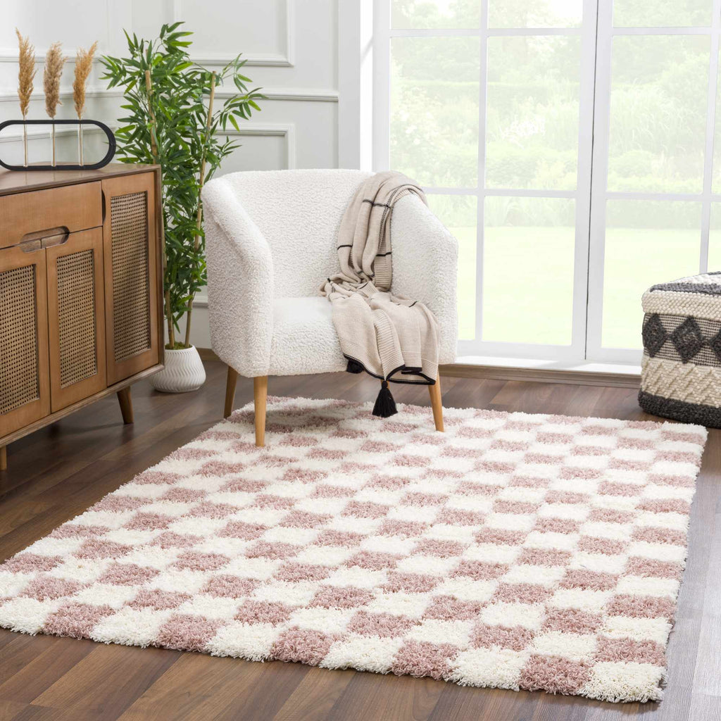 🦩 Pink Checkered Shag Rug