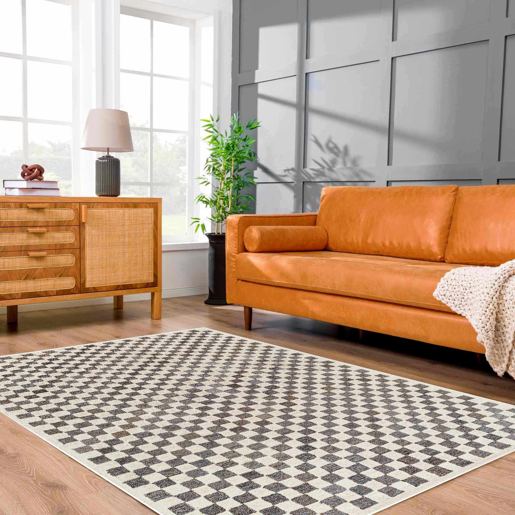 Checkered Area Rug