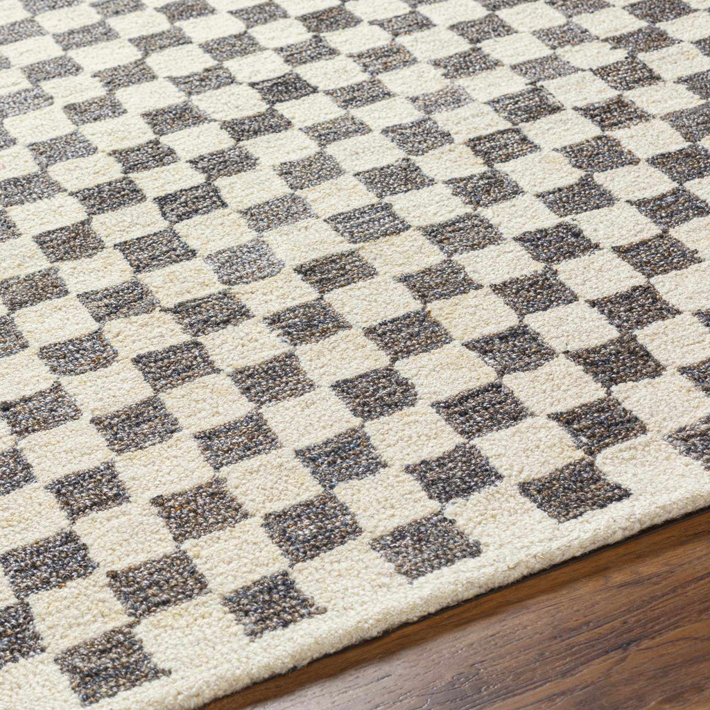 Checkered Area Rug